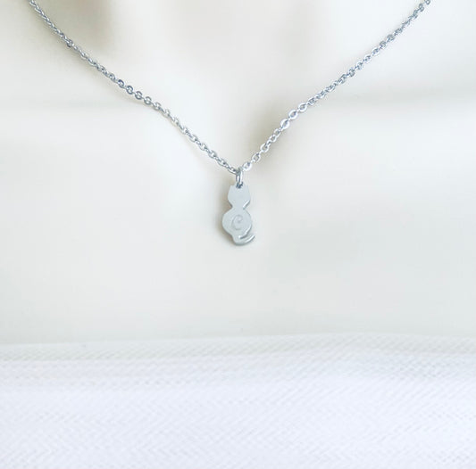 Personalized Stainless Steel Cat Charm Necklace • Custom Cat Lover Necklace