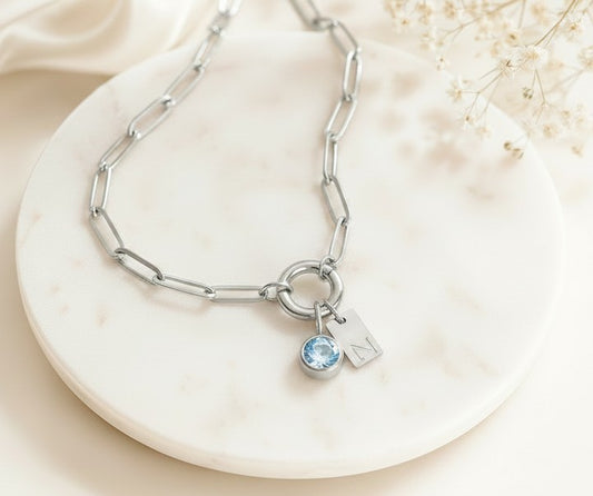 Personalized Paperclip Chain Necklace with Birthstone & Initial • Stainless Steel • Gold over Stainless Steel
