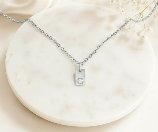 Personalized Mini Initial Necklace • Stainless Steel & Gold over Stainless Steel
