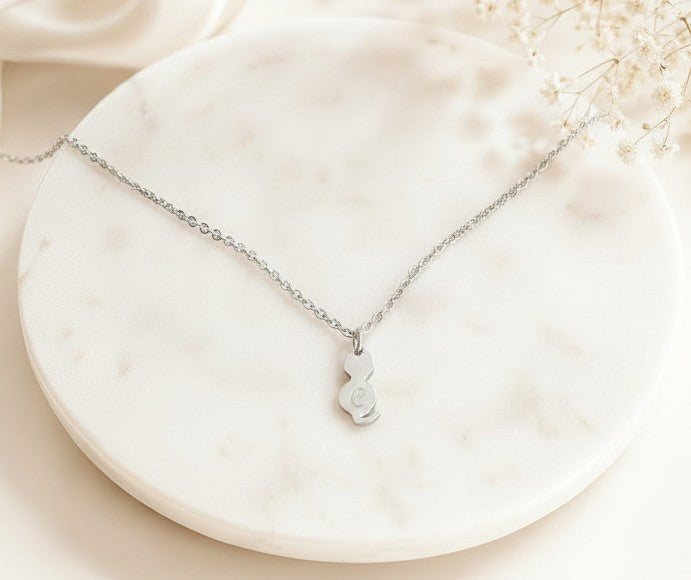 Personalized Stainless Steel Cat Necklace