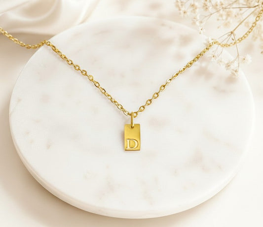 Personalized Mini Initial Necklace • Stainless Steel & Gold over Stainless Steel