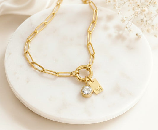 Personalized Paperclip Chain Necklace with Birthstone & Initial • Stainless Steel • Gold over Stainless Steel