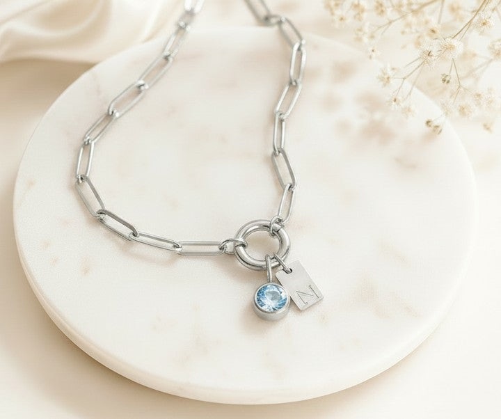 Personalized Paperclip Chain Necklace with Birthstone & Initial • Stainless Steel • Gold over Stainless Steel