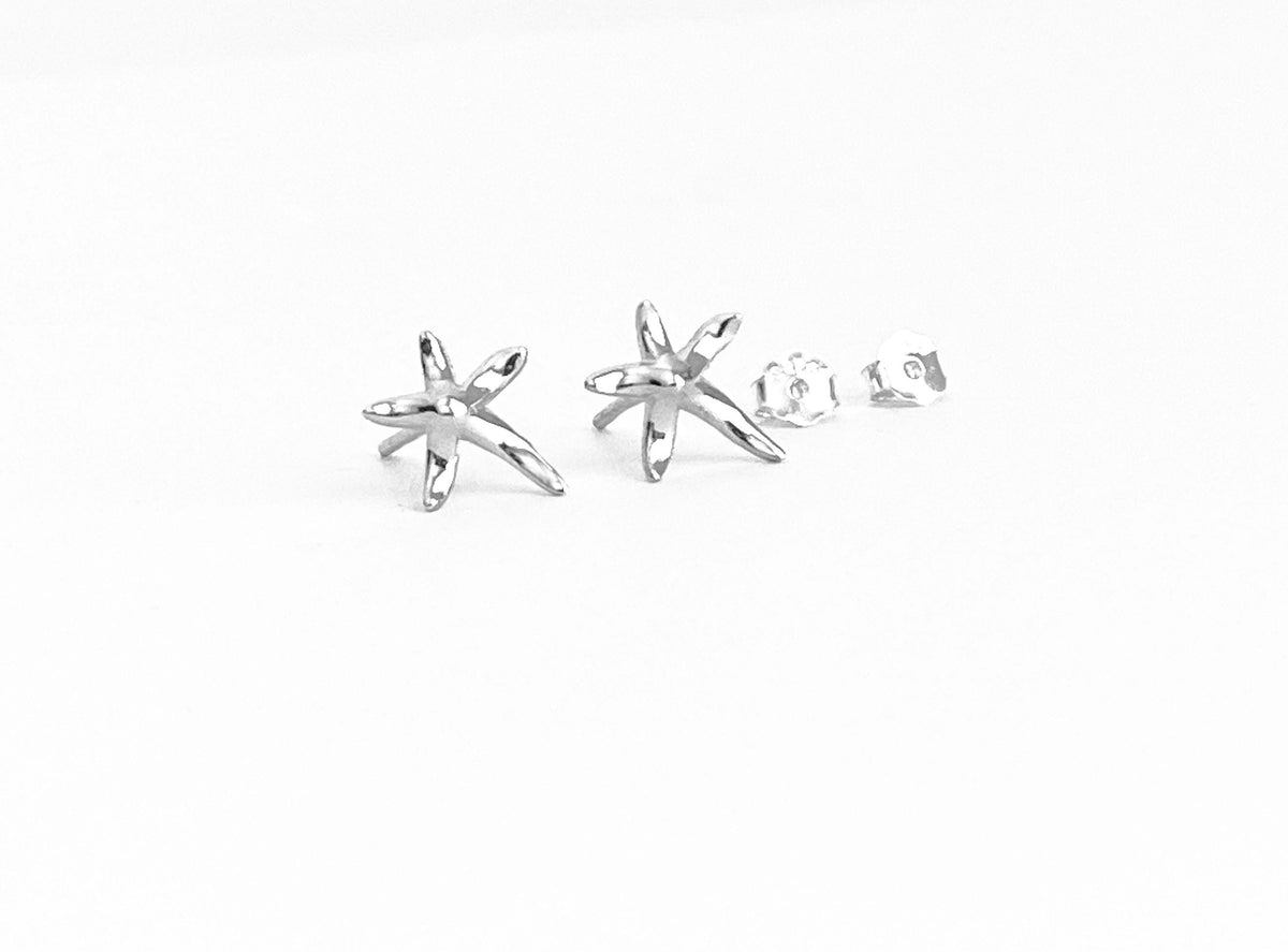 Silver star-shaped earrings on a white background