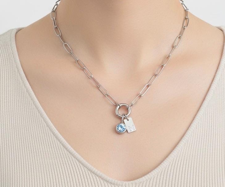 Personalized Stainless Steel Paperclip Chain Necklace with Birthstone & Initial Charm • Custom Name Jewelry Gift
